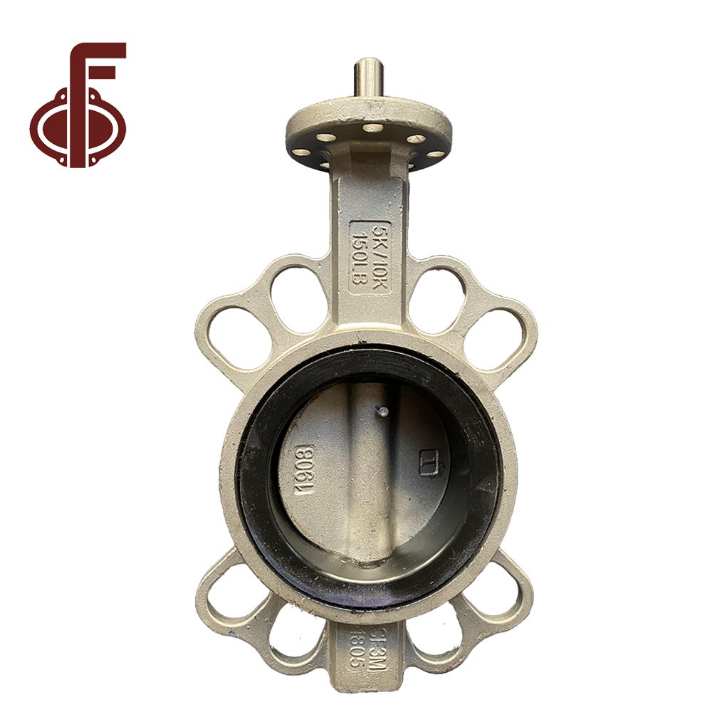 DI CI SS304 SS316 Butterfly Valve Body