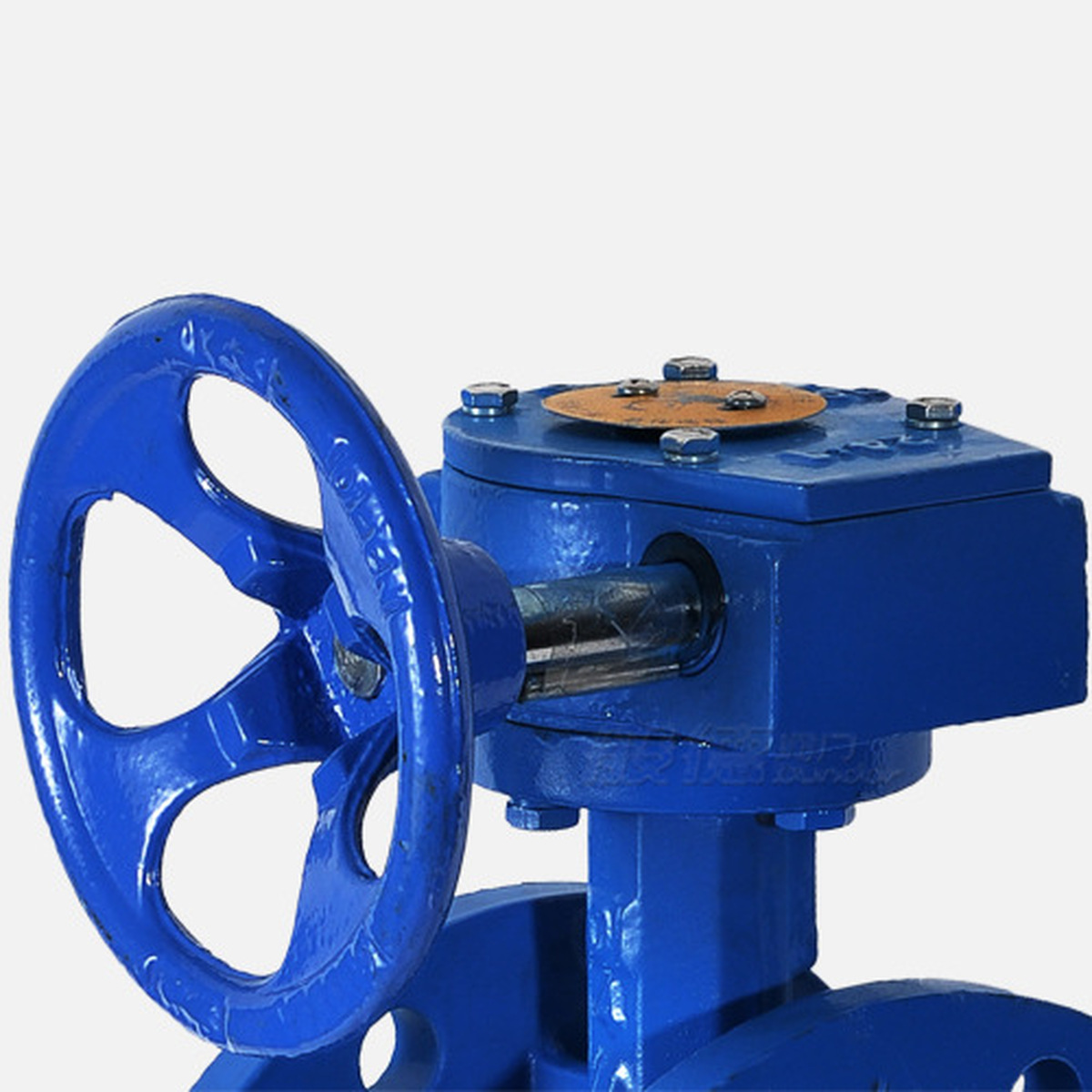 D341X Butterfly Valve