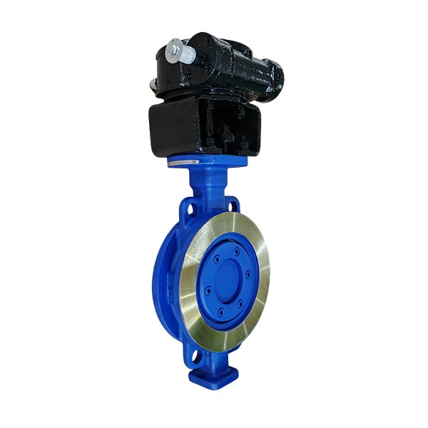 DN200 WCB Wafer Triple Offset Butterfly Valve with Worm Gear