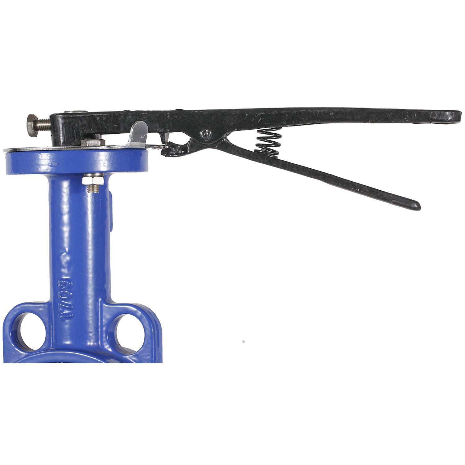 Wafer butterfly valve