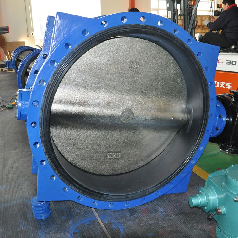 DN1200 Flange Butterfly Valve with Supporting Legs