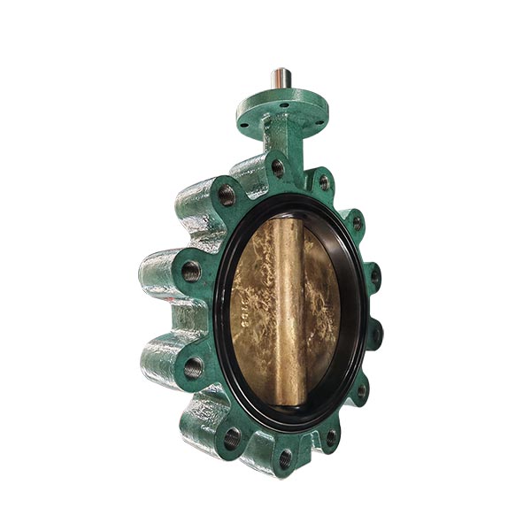 Class 150 C95800/C958 Disc Lug Butterfly Valve DN250 with Soft Seat