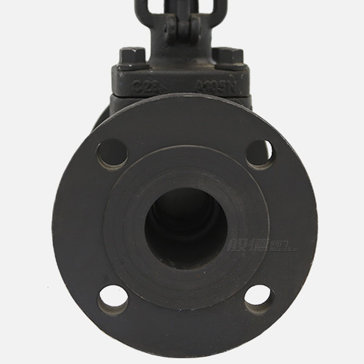 Z41H Gate Valve