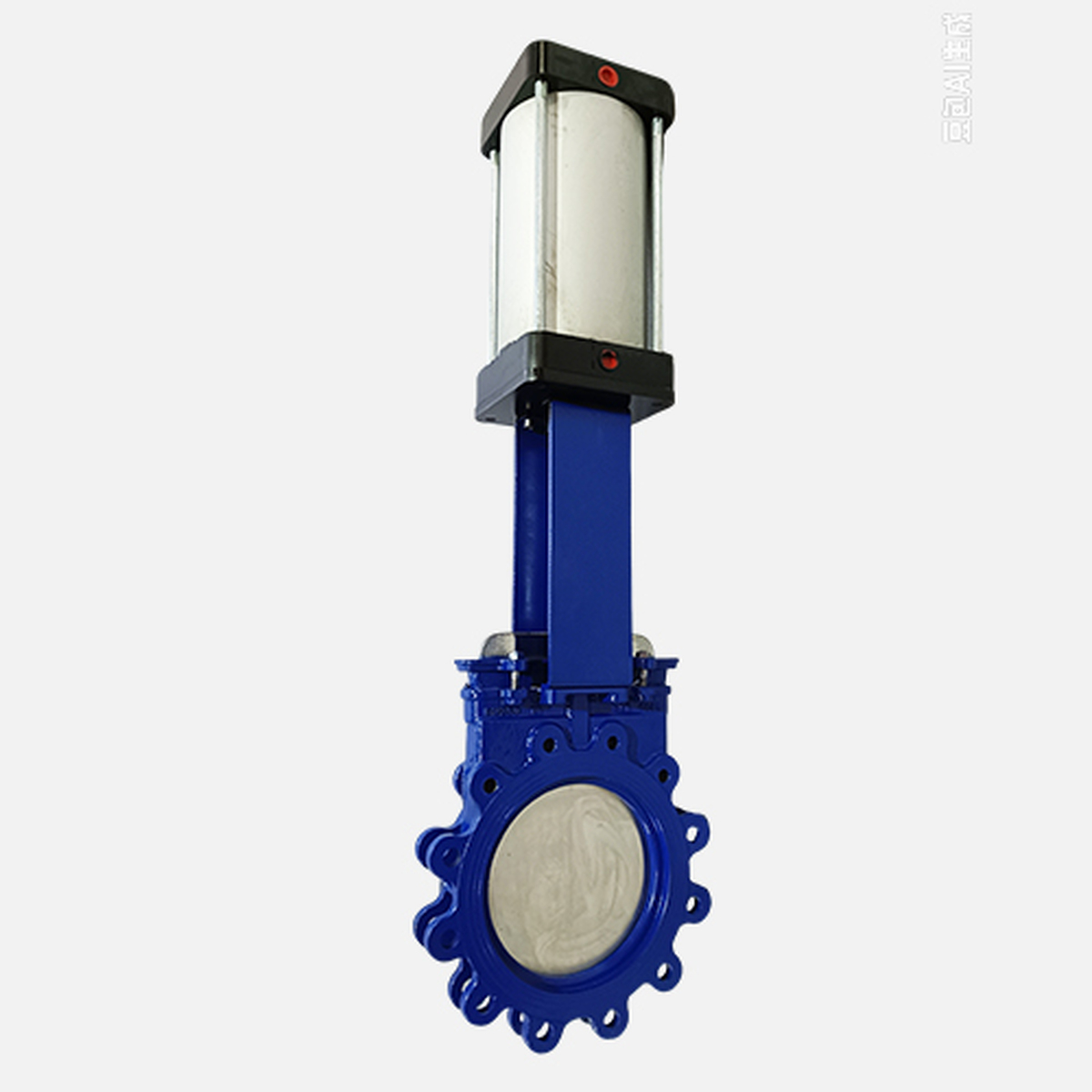 PZ673X-10C Gate Valve