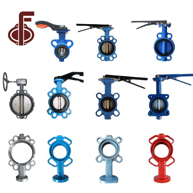DI CI SS304 SS316 Butterfly Valve Body