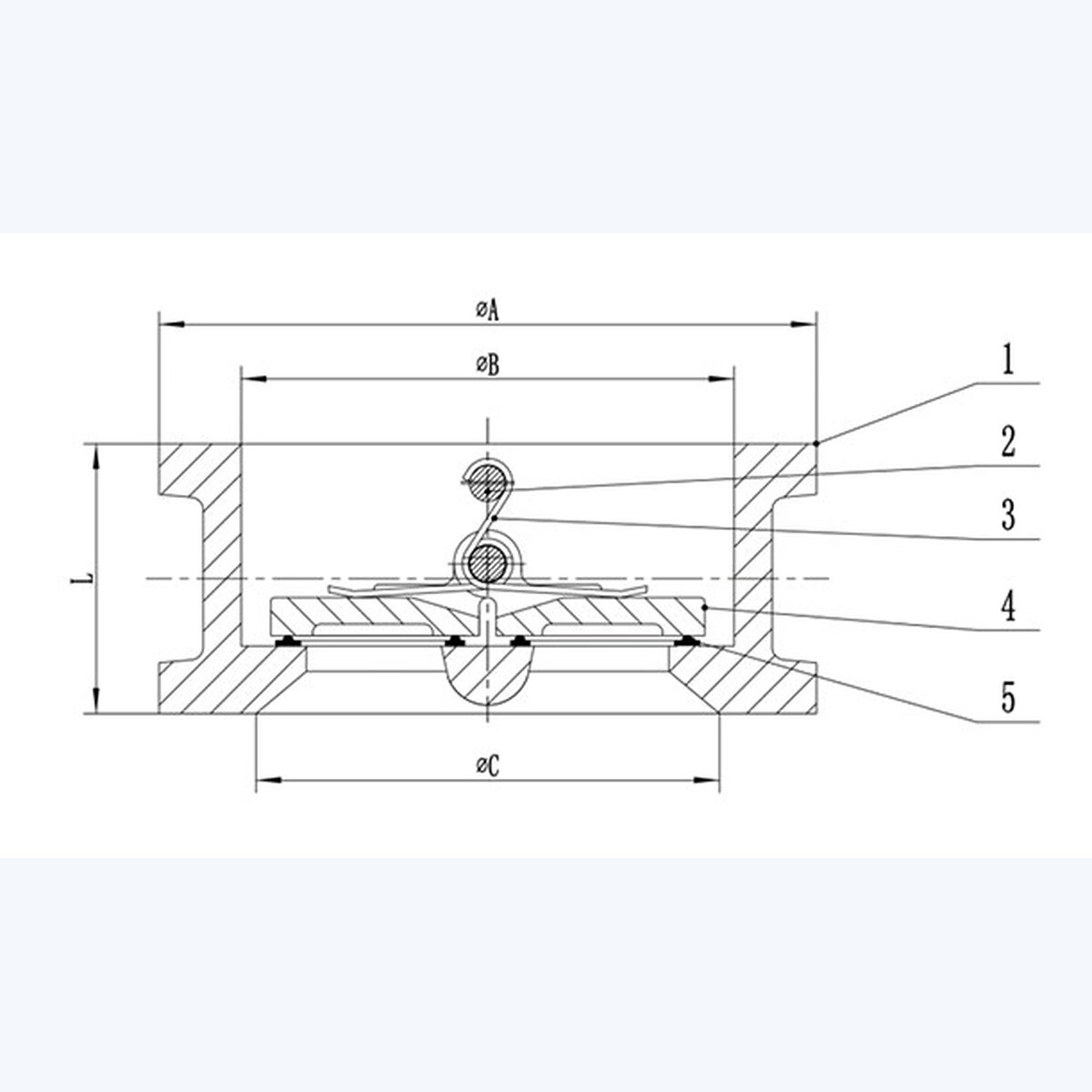 DH77X-16Q Check Valve