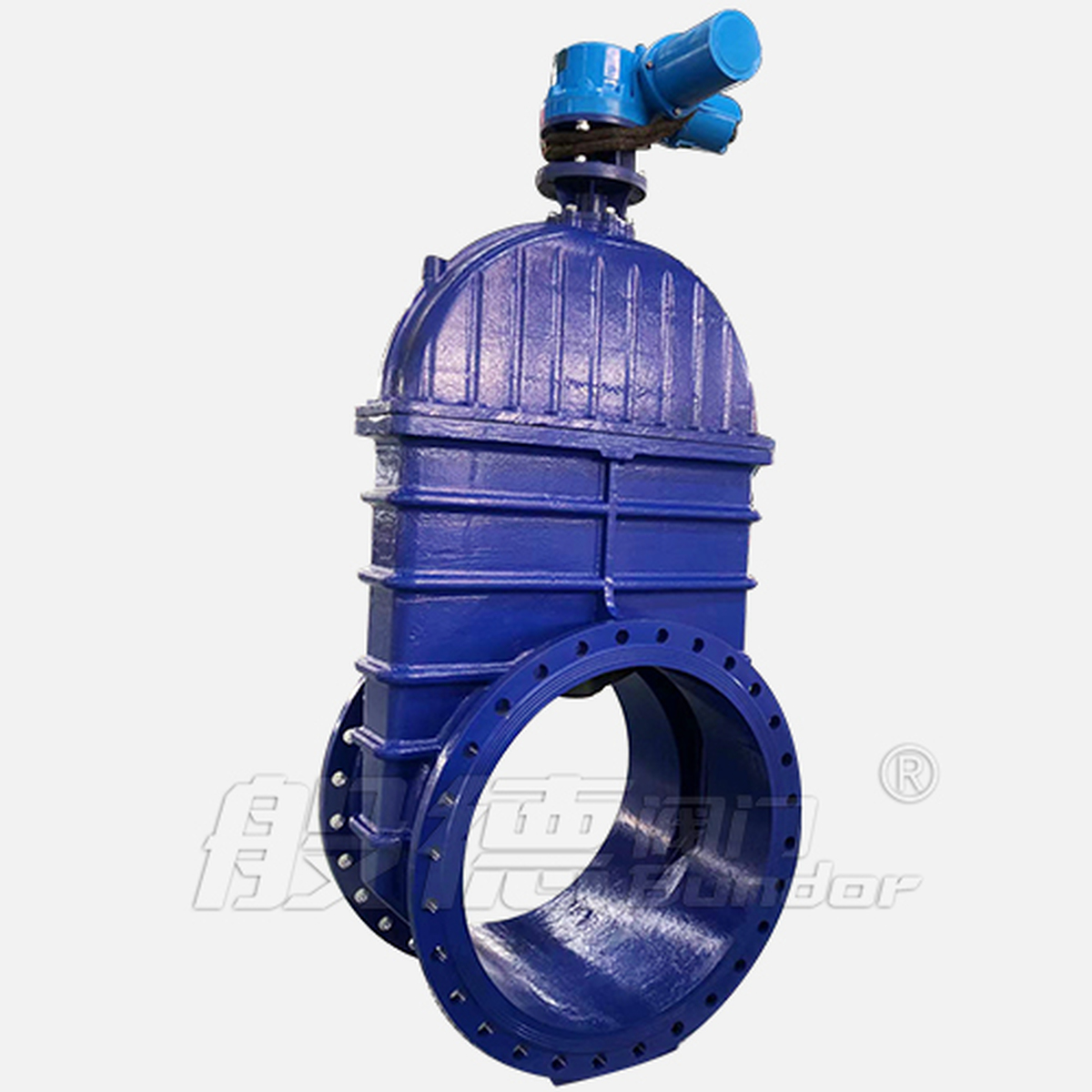 Z945X Gate Valve