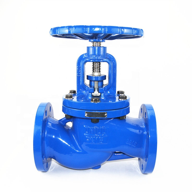 ANSI Globe Valve
