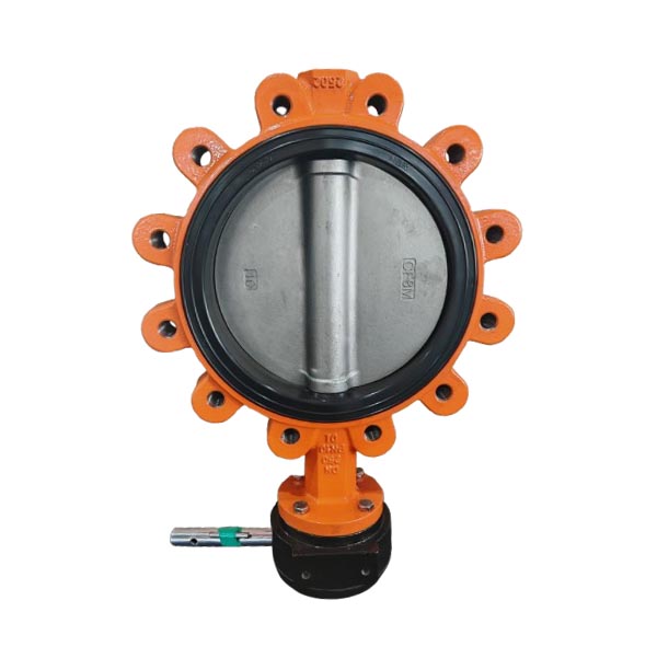 Replaceable Seat CF8M Disc Lug Butterfly Valve DN250 PN10 10Inch