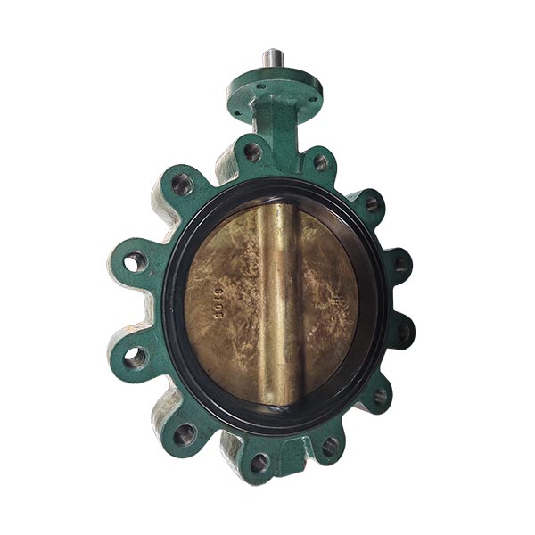 Class 150 C95800/C958 Disc Lug Butterfly Valve DN250 with Soft Seat